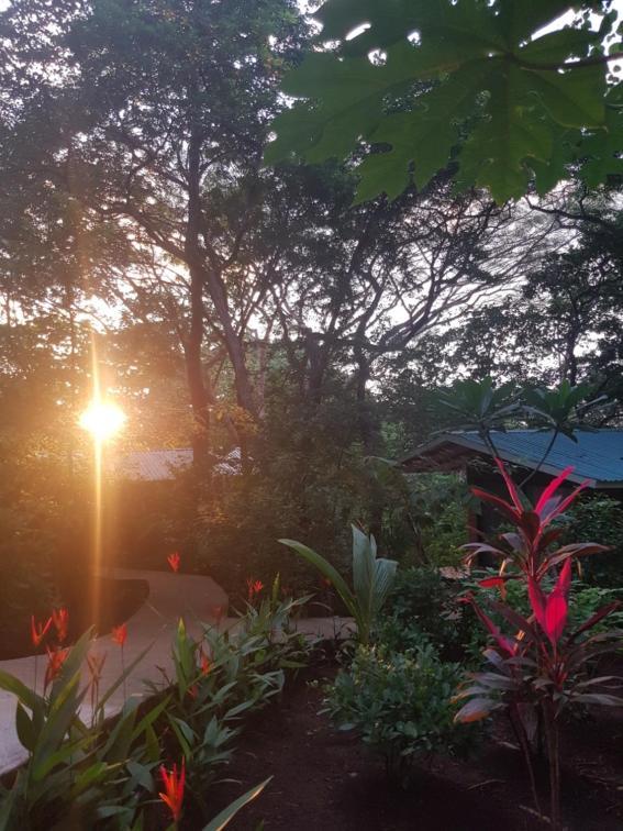 San José Pinilla Baliyana Lodge المظهر الخارجي الصورة